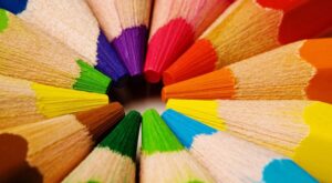 Colored pencils kept in a circular format.