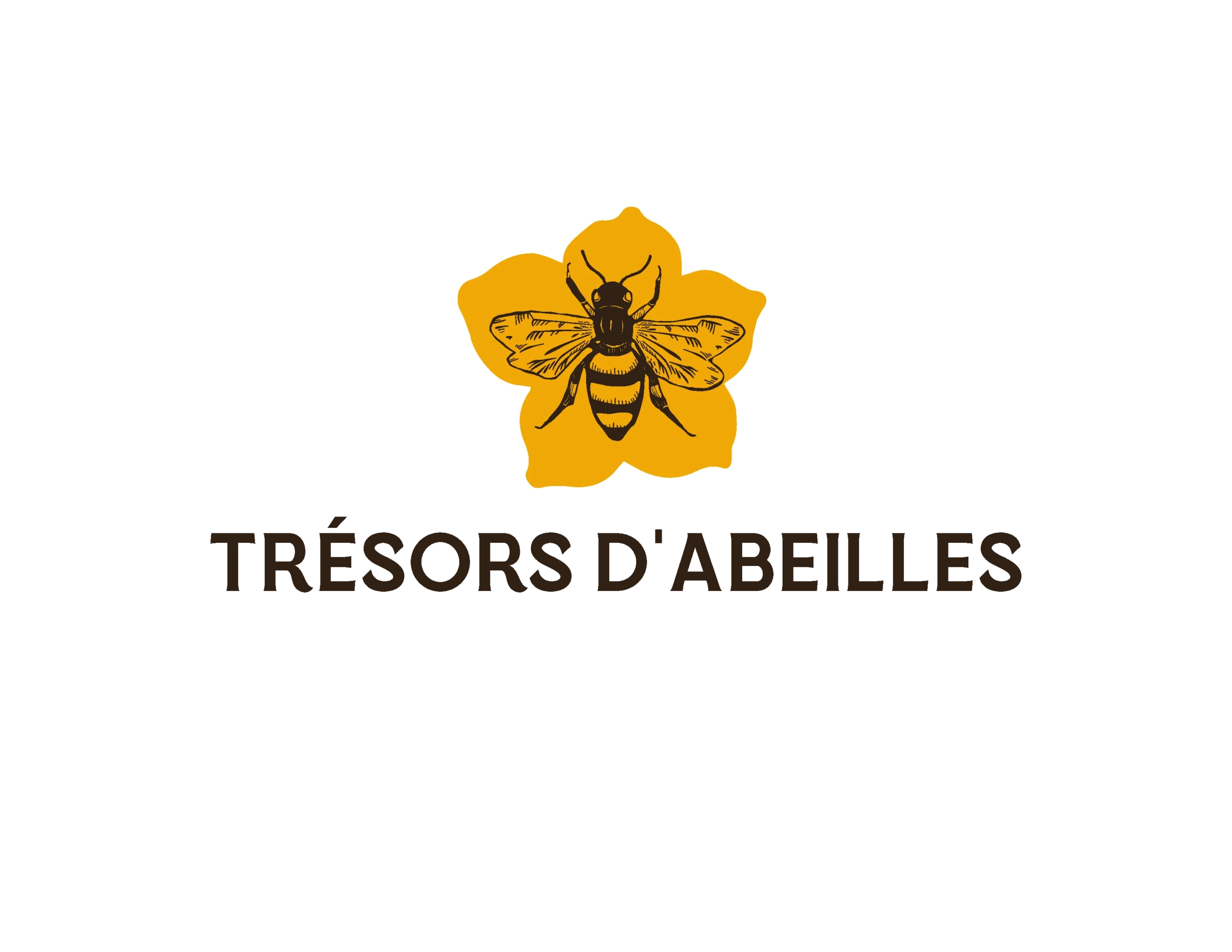 Logo design for TrΓ©sors dβAbeilles, French honey company, featuring a detailed bee illustration on a yellow flower, elegant brown typography, created by Draftss, unlimited logo design, artisanal honey brand logo example, unlimited graphic designs, draftss, draftss portfolio